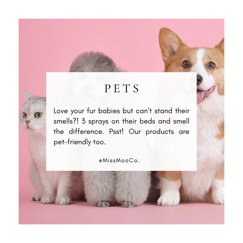 Three cats and a dog on a pink background with promotional text for MissMooCo products to eliminate odours. Pet-friendly products