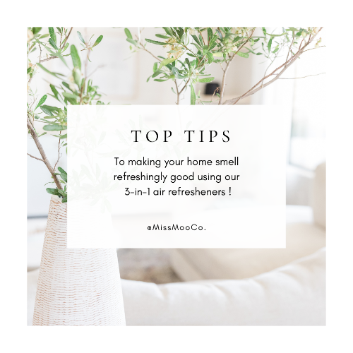 Top 10 hacks for using Miss Moo Co. natural air fresheners  to help health - conscious individuals with everyday routines.